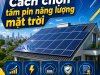 8 Cách Chọn Tấm Pin Năng Lượng Mặt Trời Phù Hợp, Hiệu Quả Nhất 2026