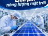 Cell pin năng lượng mặt trời là gì? Cấu tạo, nguyên lý và các loại cell pin phổ biến