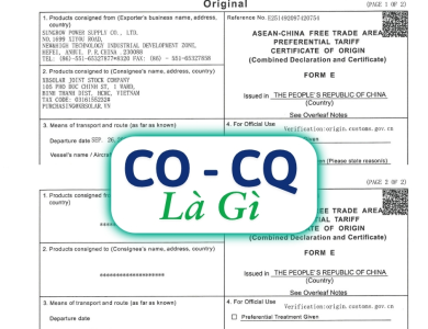 CO CQ là gì? Phân biệt, vai trò và cách nhận biết đơn giản