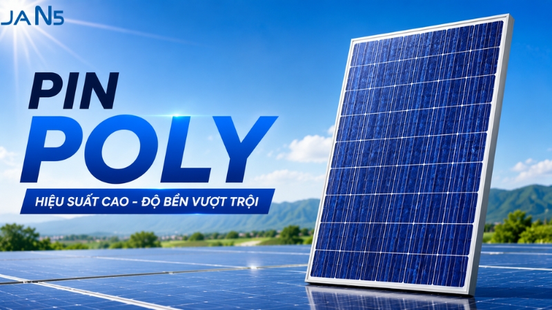 Pin Poly là gì?